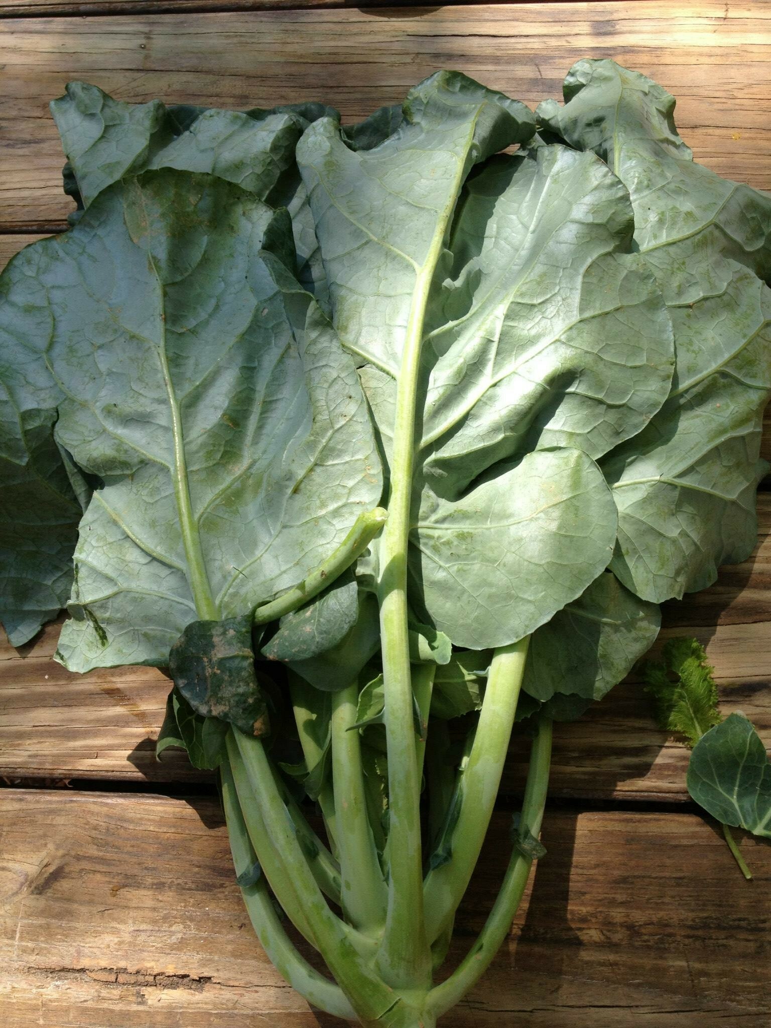 Brown Butter Creamed Winter Greens - Riverview Farms