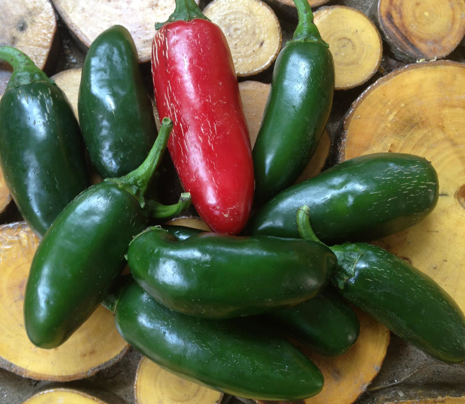 1947 Tabasco Sauce Recipe - Riverview Farms