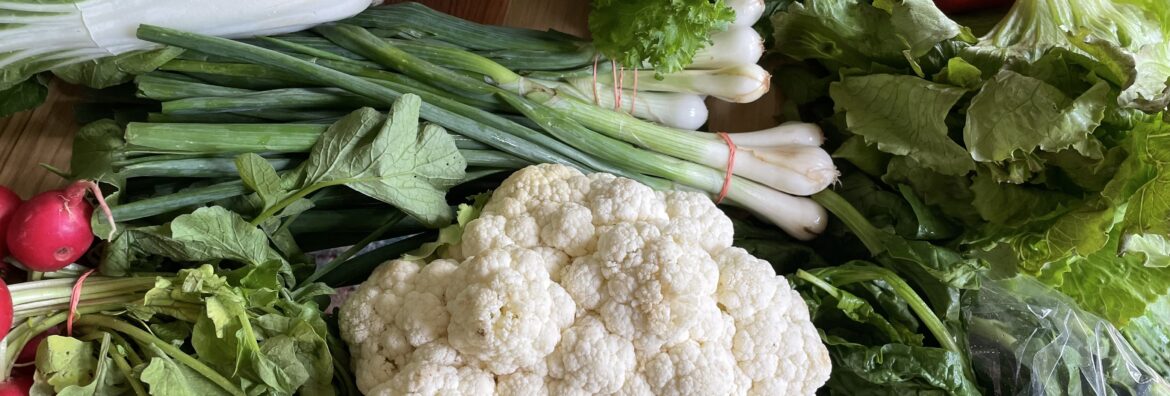 CSA fresh harvest local produce box