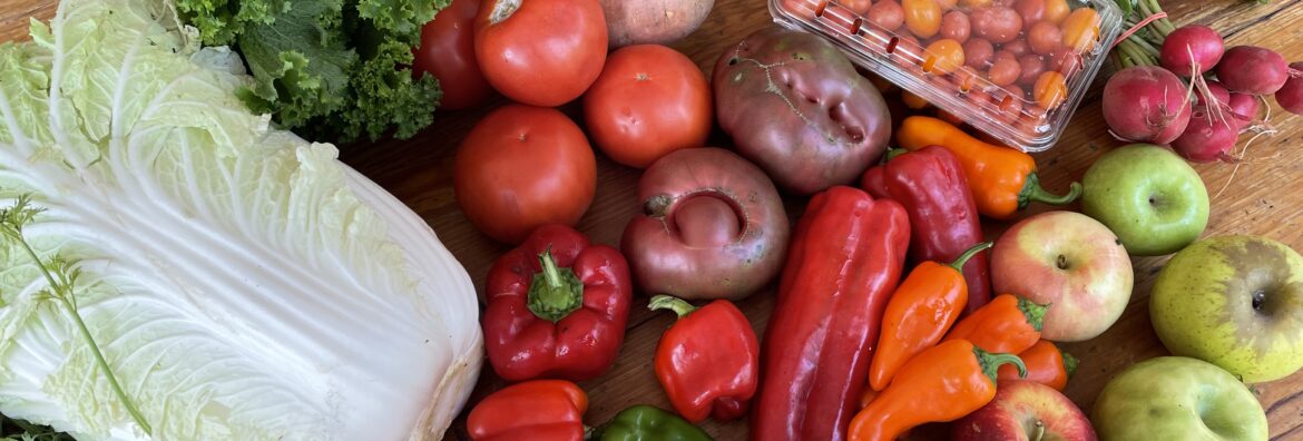 CSA box with carrots tomatoes peppers apples mustardgreens