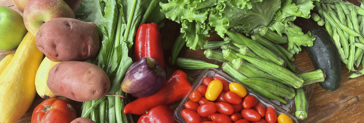 seasonal fall CSA produce from Georgia