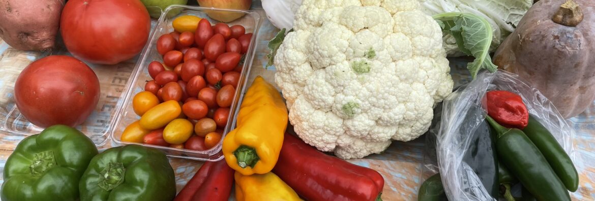 fall CSA produce box